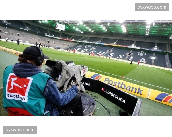 针对球迷侮辱性横幅，德国足协对一家德甲俱乐部启动调查程序